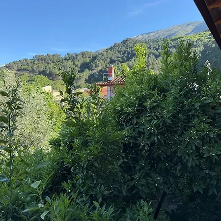 Guest house Shtepia Me Lule *